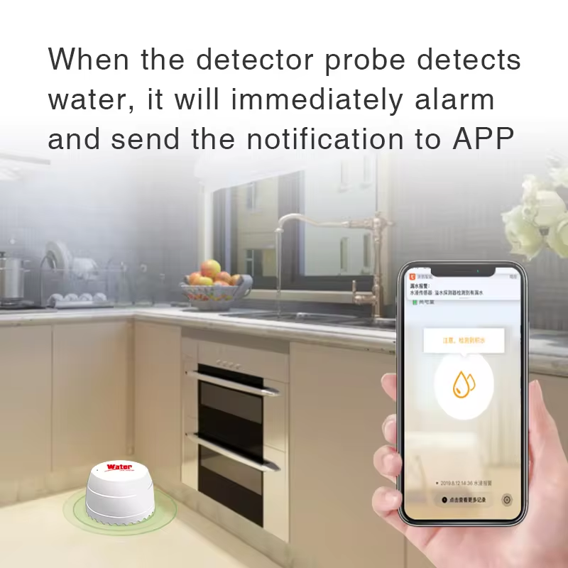 Tuya WiFi Water Leak Detector  - Home Automation Technology のレビューと価格