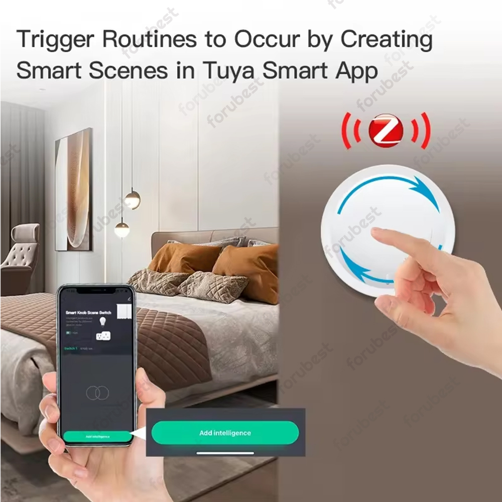 Tuya ZigBee Smart Knob Switch  - Home Automation Diy のレビューと価格