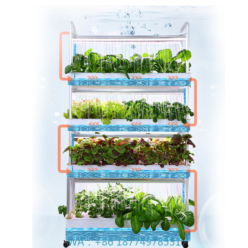 ydroponic Planting System Smar - Home Automation Diy のレビューと価格