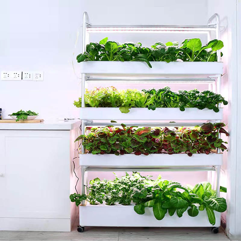 ydroponic Planting System Smar - Home Automation Diy のレビューと価格