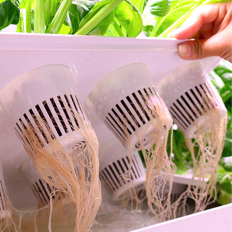 ydroponic Planting System Smar - Home Automation Diy のレビューと価格