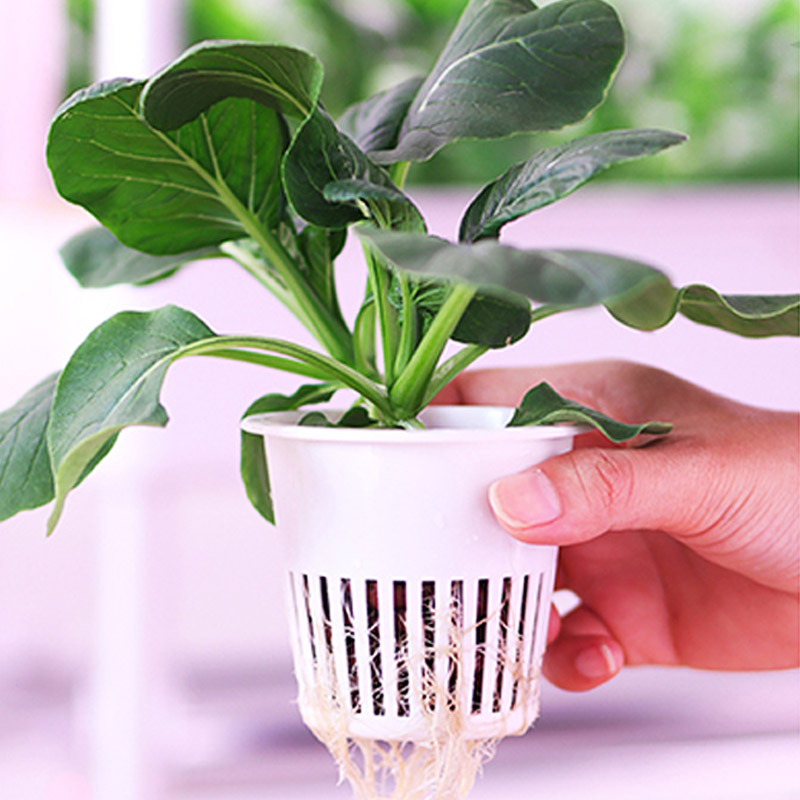 ydroponic Planting System Smar - Home Automation Diy のレビューと価格
