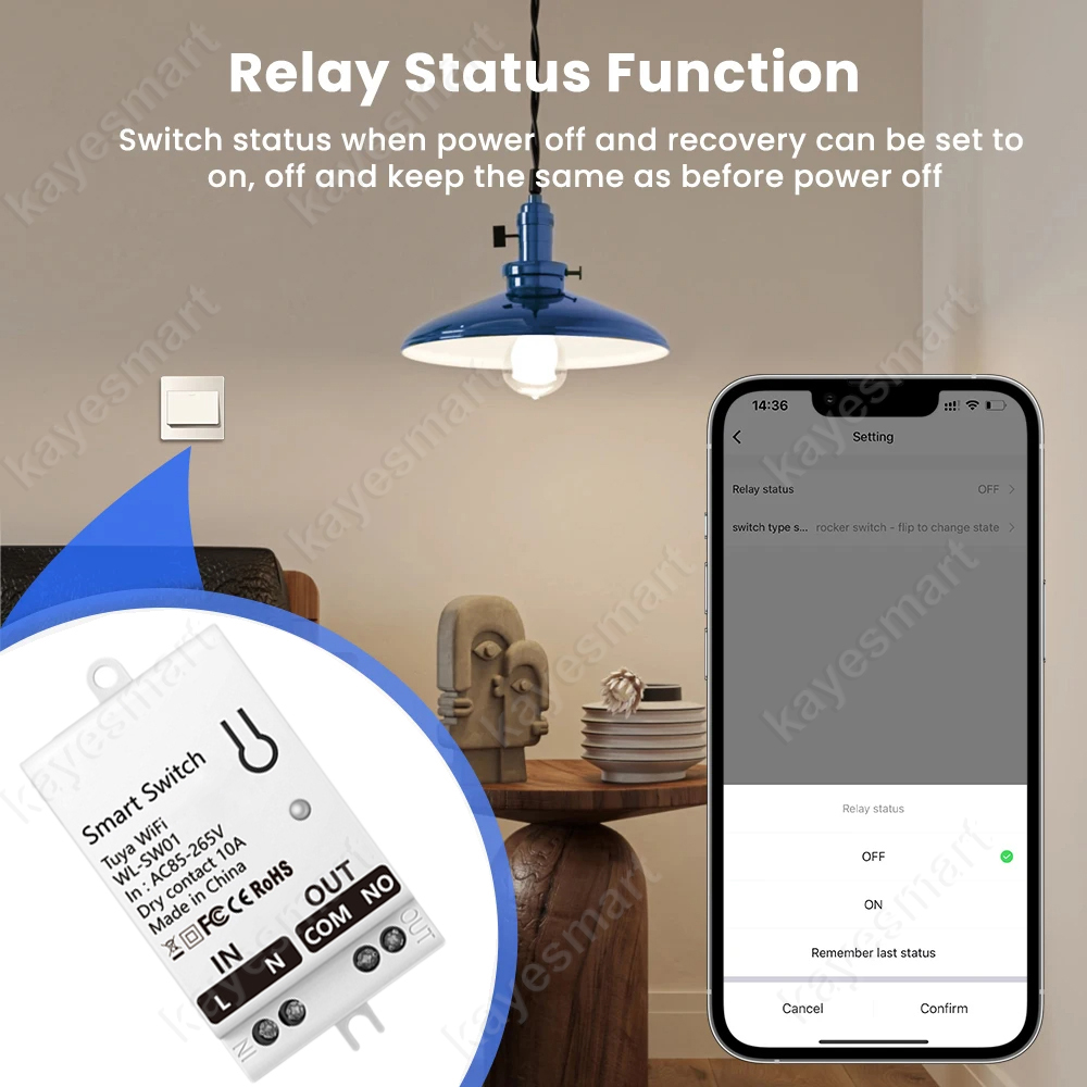 Tuya WiFi Smart Switch Module  - Home Automation Diy のレビューと価格