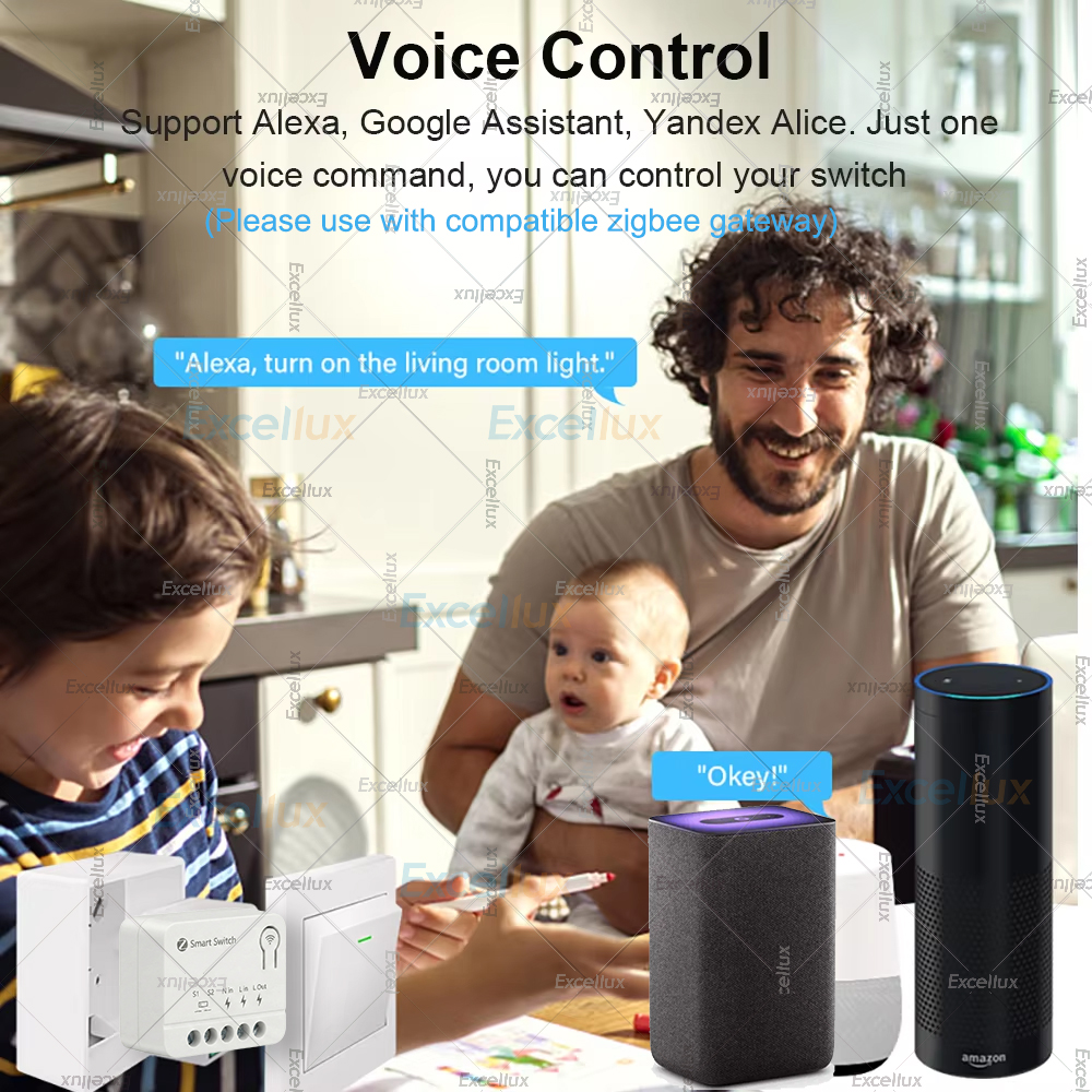 10A Mini Zigbee Smart Switch M - Home Automation Diy のレビューと価格