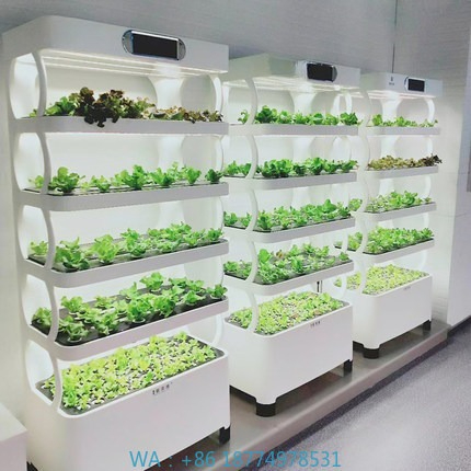 Hydroponic Automated Grow Syst - Home Automation Diy のレビューと価格