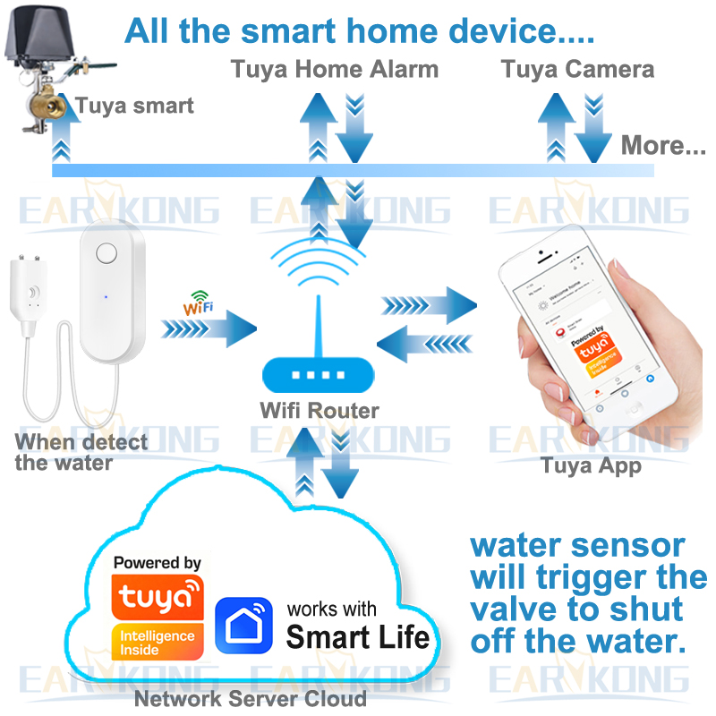 Tuya WiFi Smart Water Leak Sen - Home Automation Technology のレビューと価格